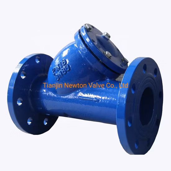 Cast Iron Y Type Strainer Double Flange Water / Stainless Steel Y Strainer DIN/JIS/ASME/ASTM/GB