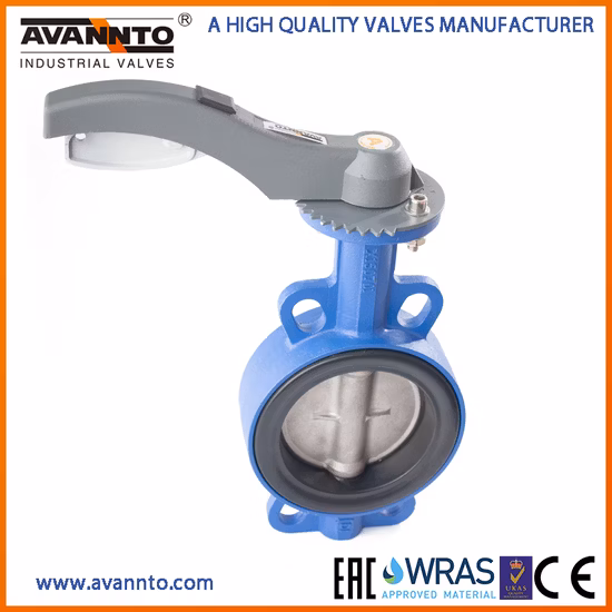 Cast/Ductile Iron Di Ci Stainless Steel Body EPDM/NBR/PTFE Seat Electrical Actuator Driver Pn10 Pn16 150lb Flange Gate Sluice and Butterfly Valve