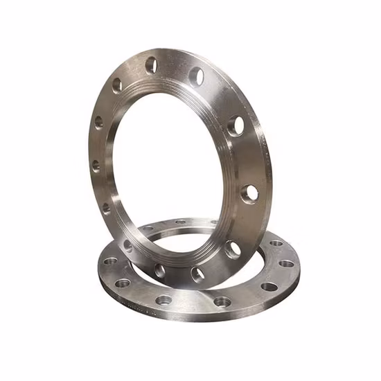 Forged Stainless Steel SS304 316L Plate Flat Welding Flange