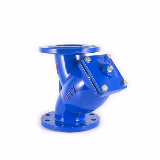 Y Type Flange Strainer (FLANGE END) Pn16 Stainless Steel 304 316